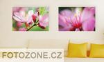 FOTOZONE CZ, fotografie do interiéru bytu i kanceláře