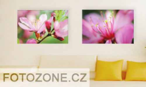 FOTOZONE CZ, fotografie do interiéru bytu i kanceláře